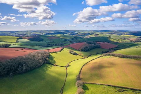 Fields and Meadows over English Village