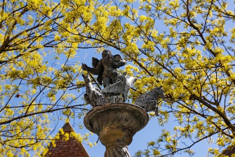 Dolphin fountain on Muensterplatz by Wolfgang Neithard