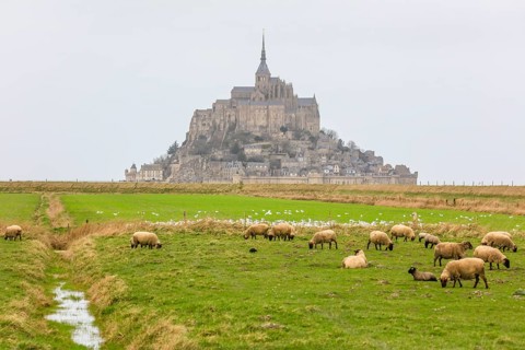 Island Mont Saint-Michel in the bay of Mont-Saint-Michel in the Wadden Sea
