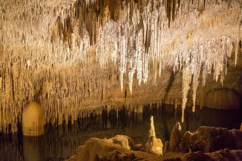 Coves del Drac