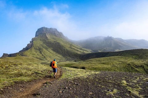 Hikers on trail through moss-covered mountain landscape