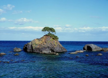 Rocks in the sea with pine Japan Rocks in the sea with pine Japan