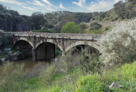 Roemische Bruecke im Monfrague Nationalpark