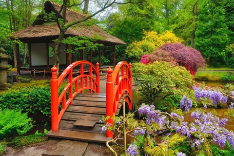 Small bridge in Japanese garden