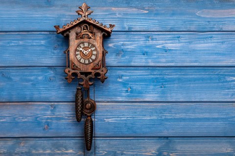 Antique Black Forest cuckoo clock in front of blue wooden wall