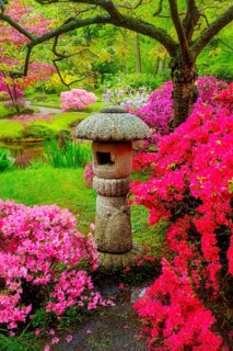 Stone lantern in Japanese garden with blooming flowers