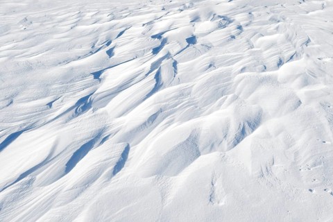 Snowdrift