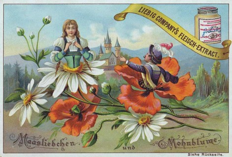Flowers and legends series