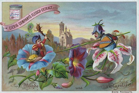 Series Flowers and Legends