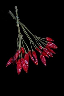 Dried chilli peppers on sweet pepper