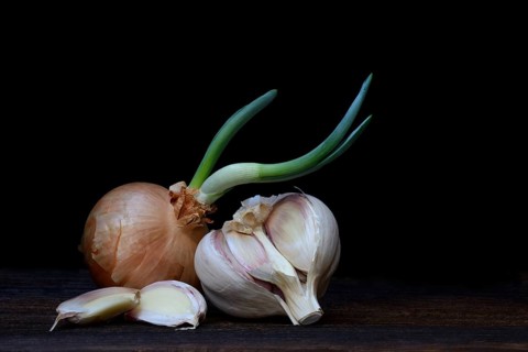 Sprouting common onion