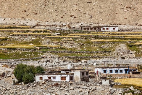 Kardung village in Himalayas mountains near Kardung La Pass