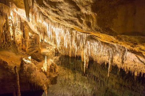 Coves del Drac