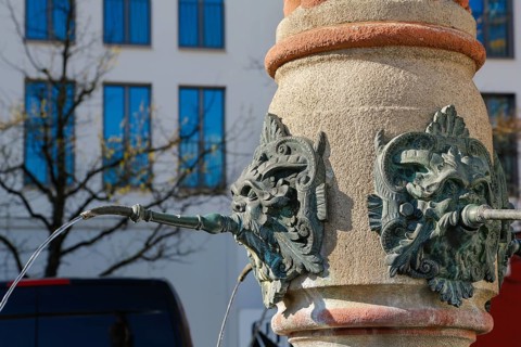 Lion fountain on the Muensterplatz