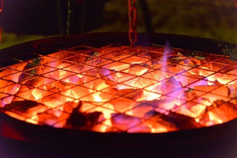 Dinner