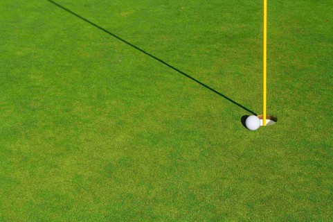 Close-up of golf course green