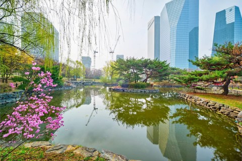 Yeouido Park public park with pond in Seoul