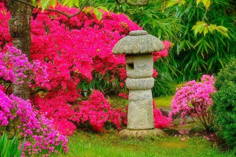 Stone lantern in Japanese garden with blooming flowers in Park Clingendael