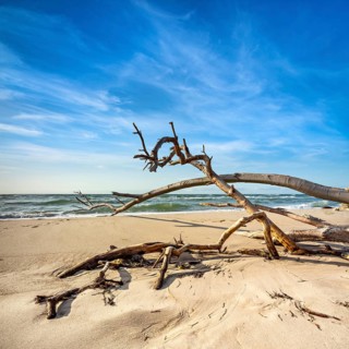 Stuermische Ostsee im Winter