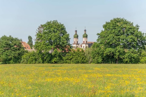 Ebersmunster Abbey in spring in central Alsace. Ebersmunter