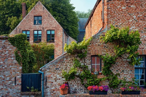 Old housesof Begijnhof Beguinage with flowers in Bruges town