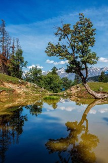 Scenic Indian Himalayan landscape scenery in Himalayas with tree and small lake