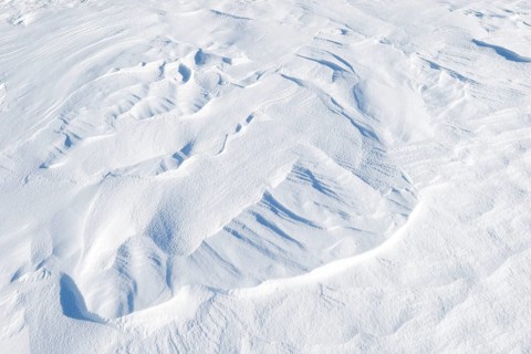 Snowdrift