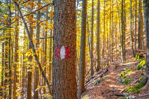 Hiking marker