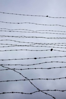 Barbed wire fence at the Iron Curtain Memorial at the Guglwald border crossing