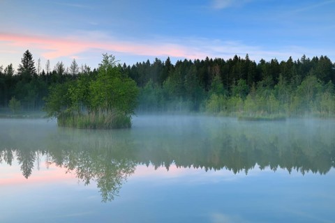 Moorland lake at dawn