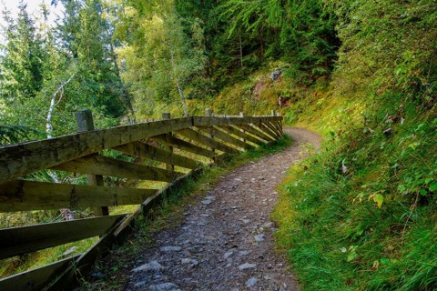 On the Ultner Hoefeweg