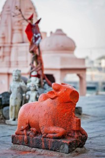 Nandi bull vehicle religious symbol of Hindu god Shiva statue in Ujjain