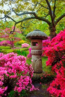 Stone lantern in Japanese garden with blooming flowers