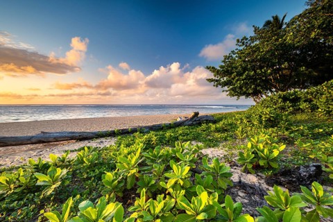 Tunnels Beach