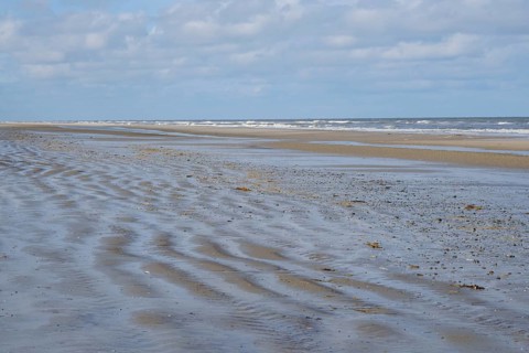 Wellen und Priele an der Nordseekueste