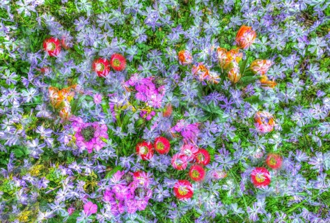 Flowers creative