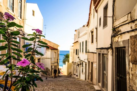 Charming street of Sesimbra with flowers in the foreground