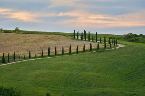 Pienza in Spring