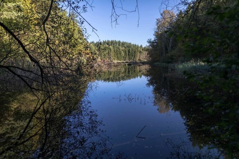 Dettinger Weiher