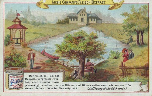 Picture series puzzle: The pond should be doubled in size