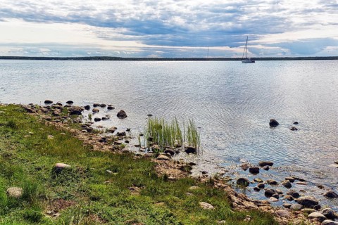 Shore of the lagoon-like bay Grankullaviken