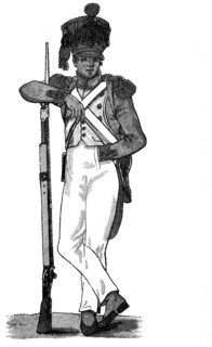 Soldier of the French Line under shore clingfish