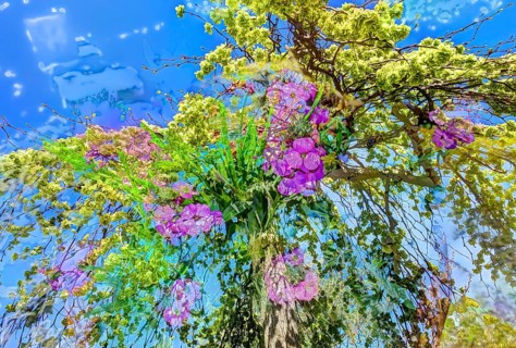 Flowers creative