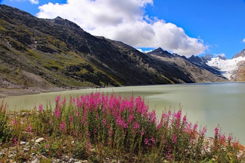 Oberaar reservoir Grimsel