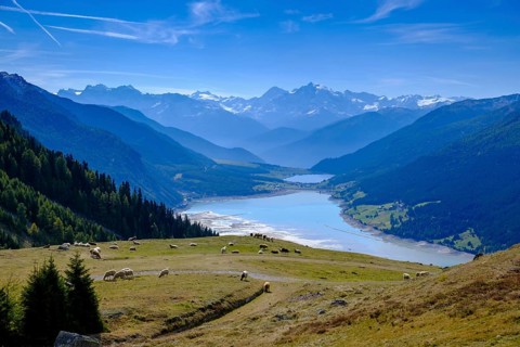 Viewpoint of Lake Reschen Reservoir and Ortler Group from the Plamort plateau