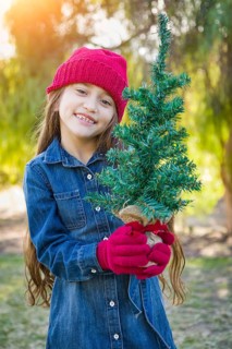 Cute mixed-race young girl wearing red knit cap and mittens holding small christmas tree outdoors
