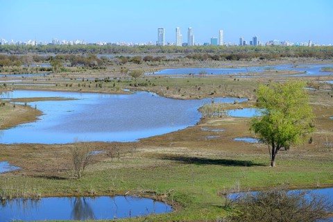 Landscape on the Rio Parana with silhouette of the city of Rosario
