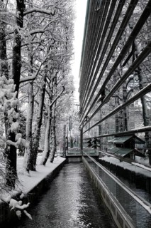 Glass facade of the Max Planck Institute for Innovation and Competition on Hofgartenstrasse