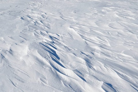 Snowdrift pattern