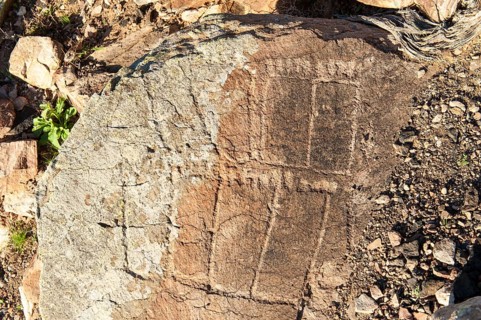 Podomorphos